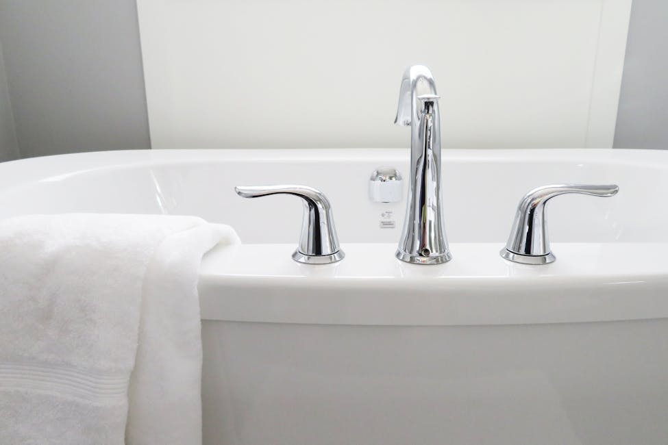 Wie man Schimmel im Badezimmer dauerhaft entfernt Experten-Tipps