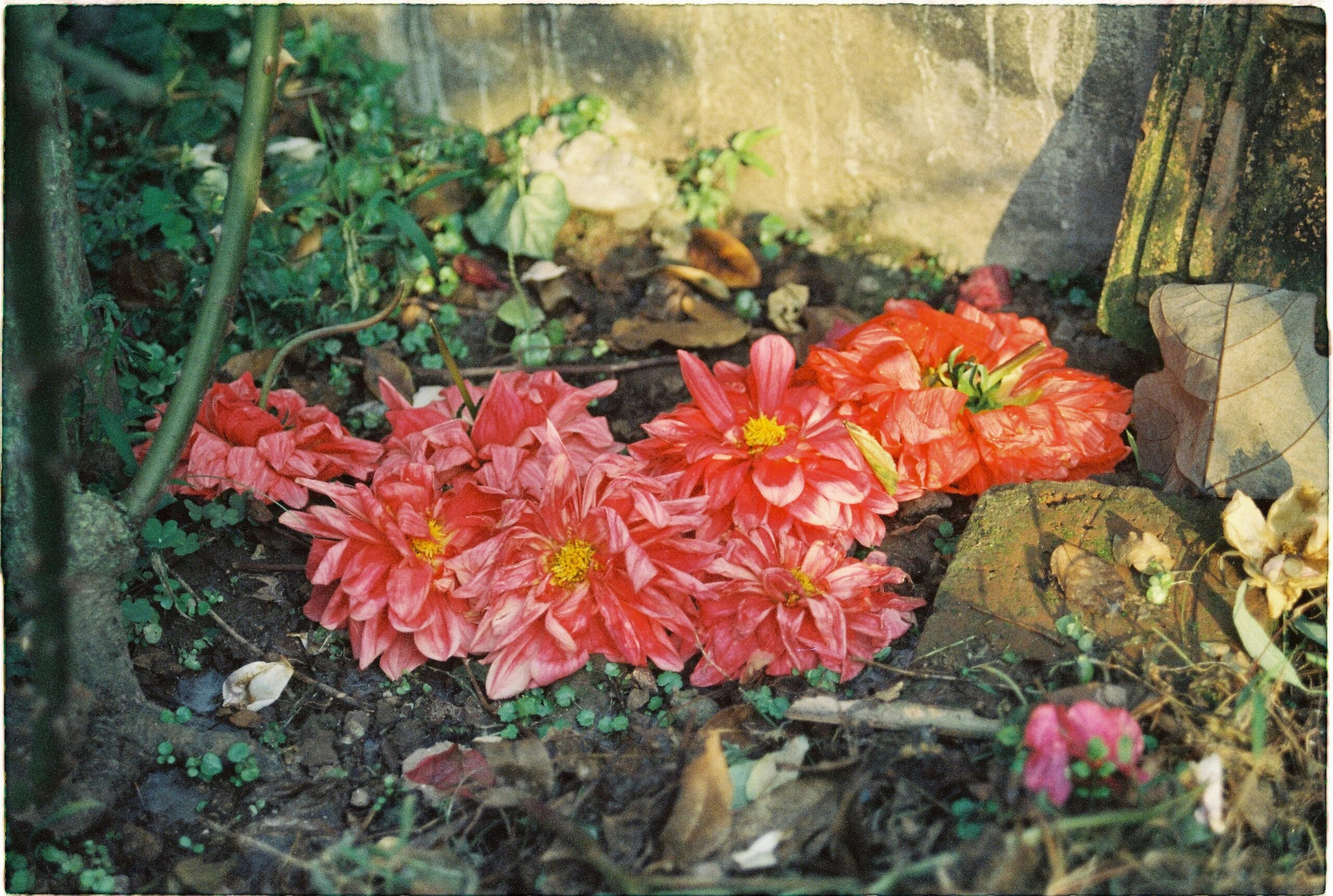 Wie man einen Komposthaufen im Garten richtig anlegt und pflegt