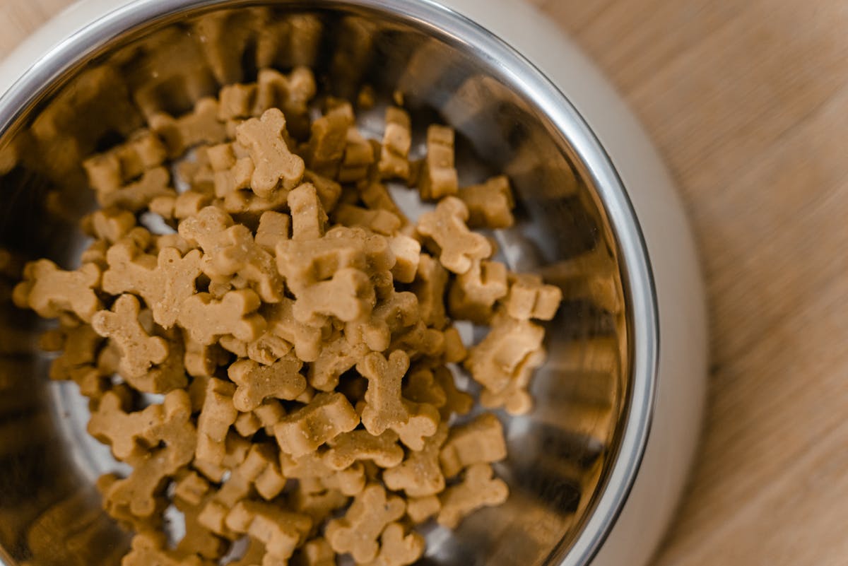 Welches Hundefutter hilft bei Durchfall wirklich